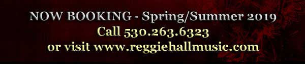 Now Booking